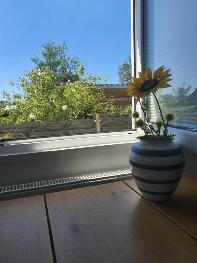 Holidays in Dirkshorn  Eksteriør billede